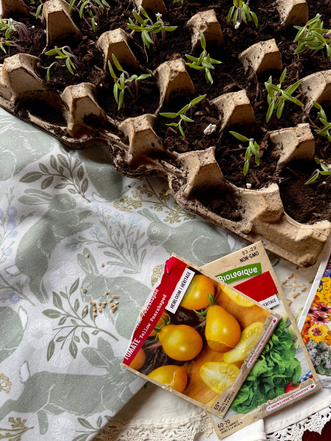artist, Bevin Marie's hand drawn rabbit floral spring fabric and packets of seeds and seedling plants in dirt