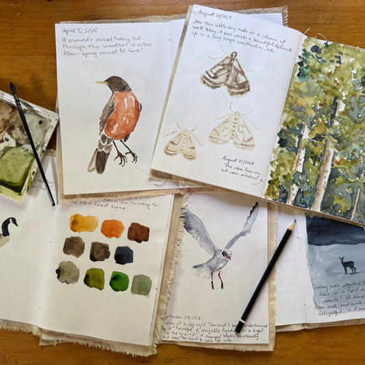 artist Bevin Marie's sketchbooks and nature journals on her wooden table with pencil, paintbrush, and palette
