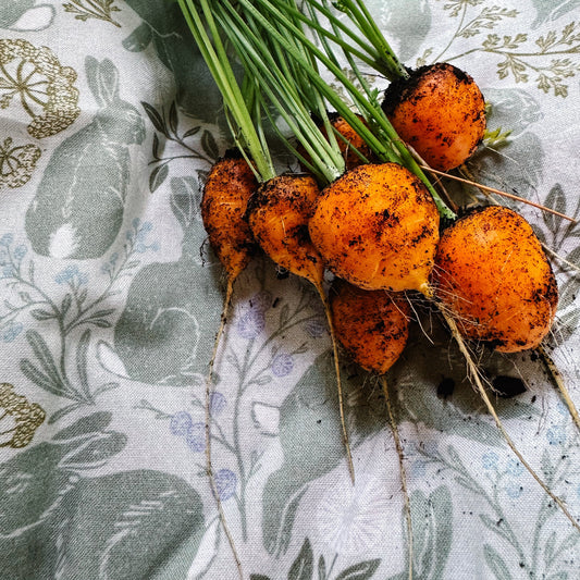 artist Beivn Marie's rabbit garden fabric with fresh garden carrots