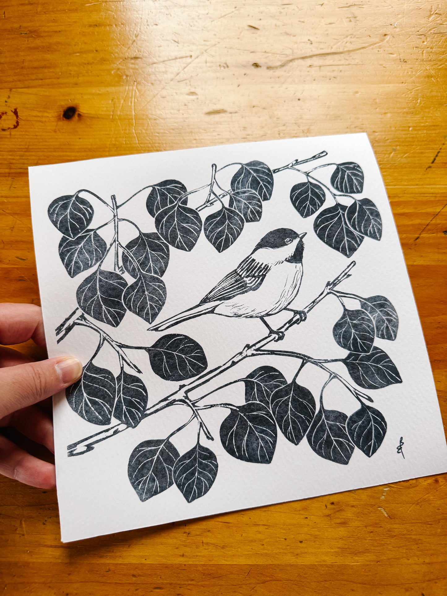 Chickadee + Aspen