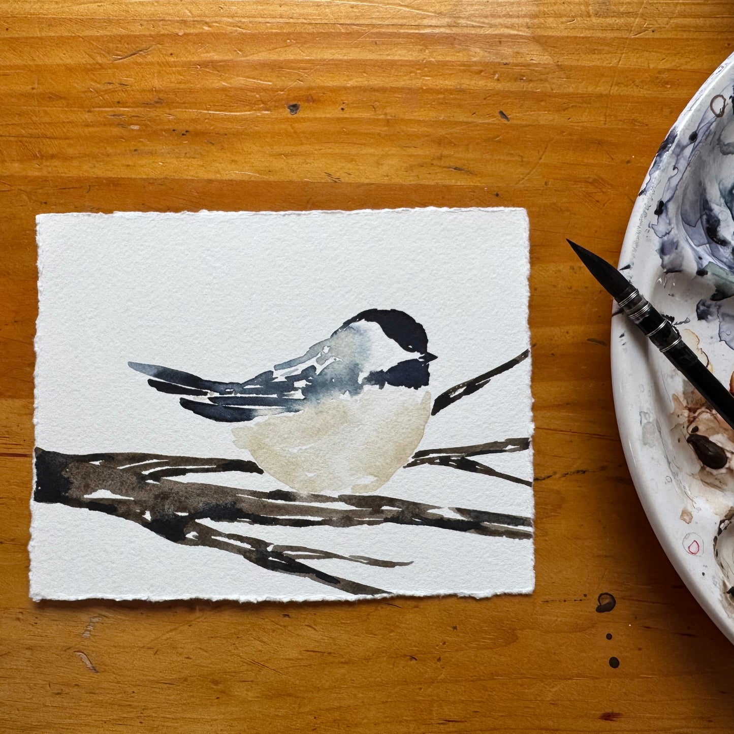 Chickadee no. 01