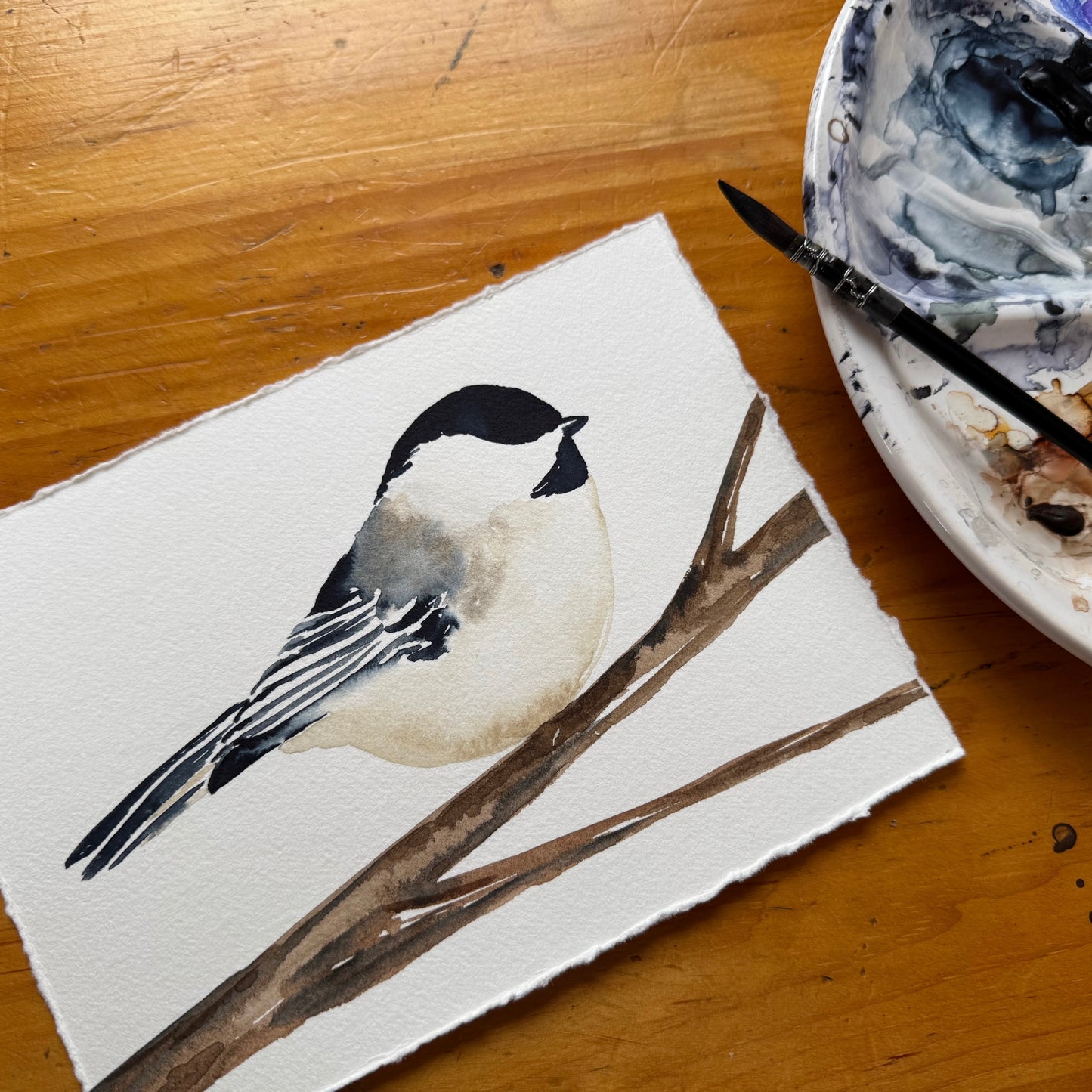 Chickadee no. 02