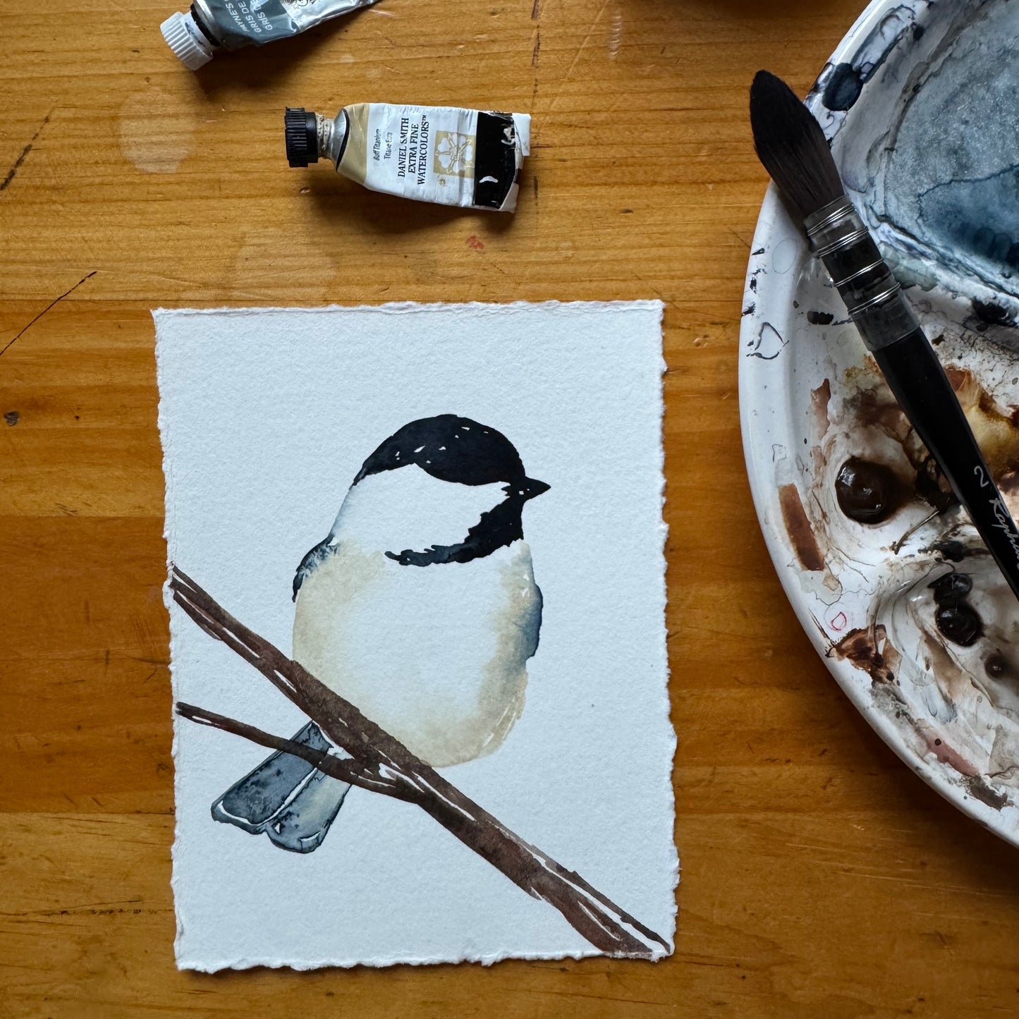 Chickadee no. 07