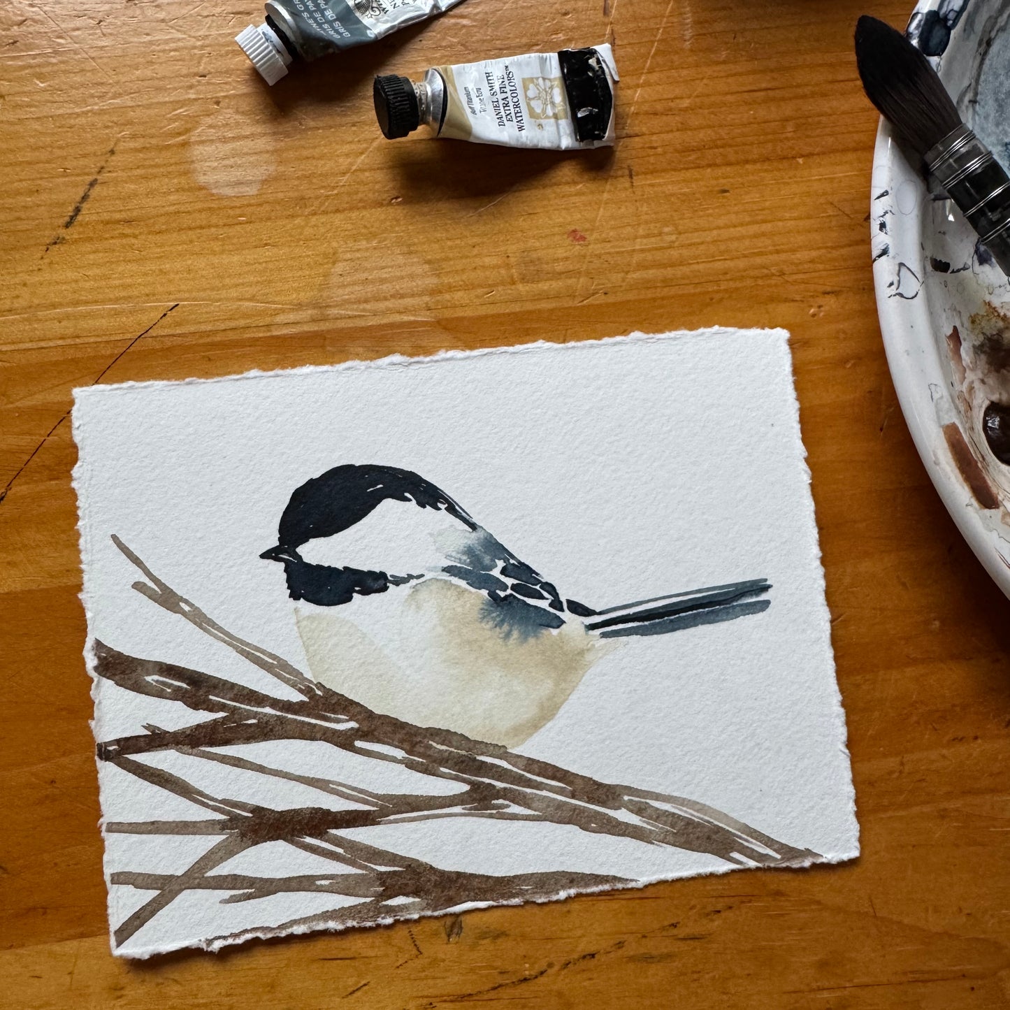 Chickadee no. 06