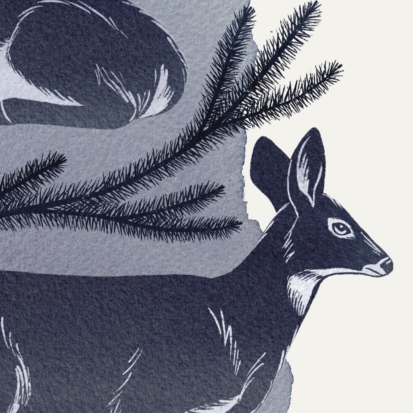 Among the Pines print - Spruce