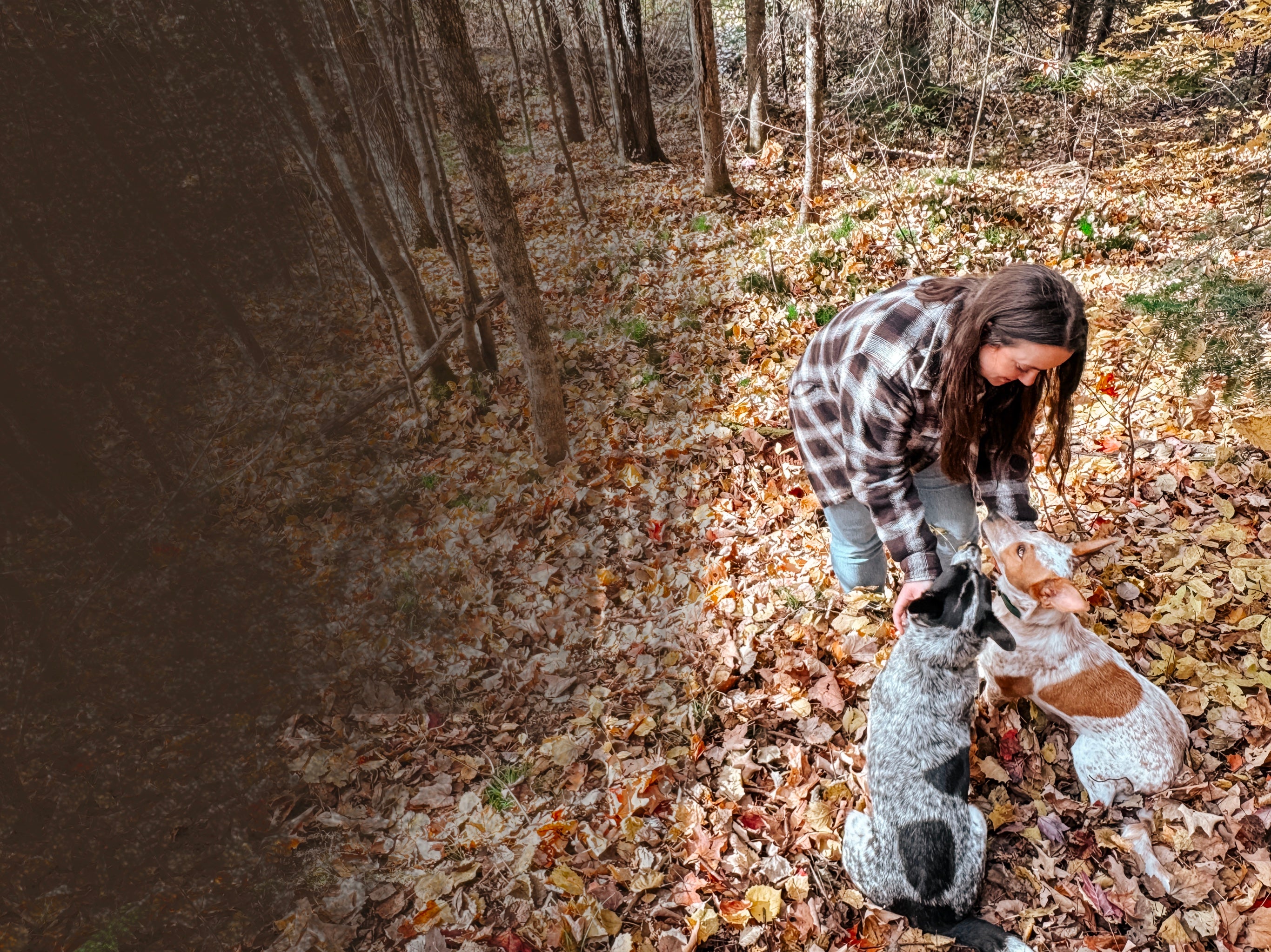 artist, Bevin Marie, out in the woods on an autumn day with her two dogs looking up at her while she pets them.