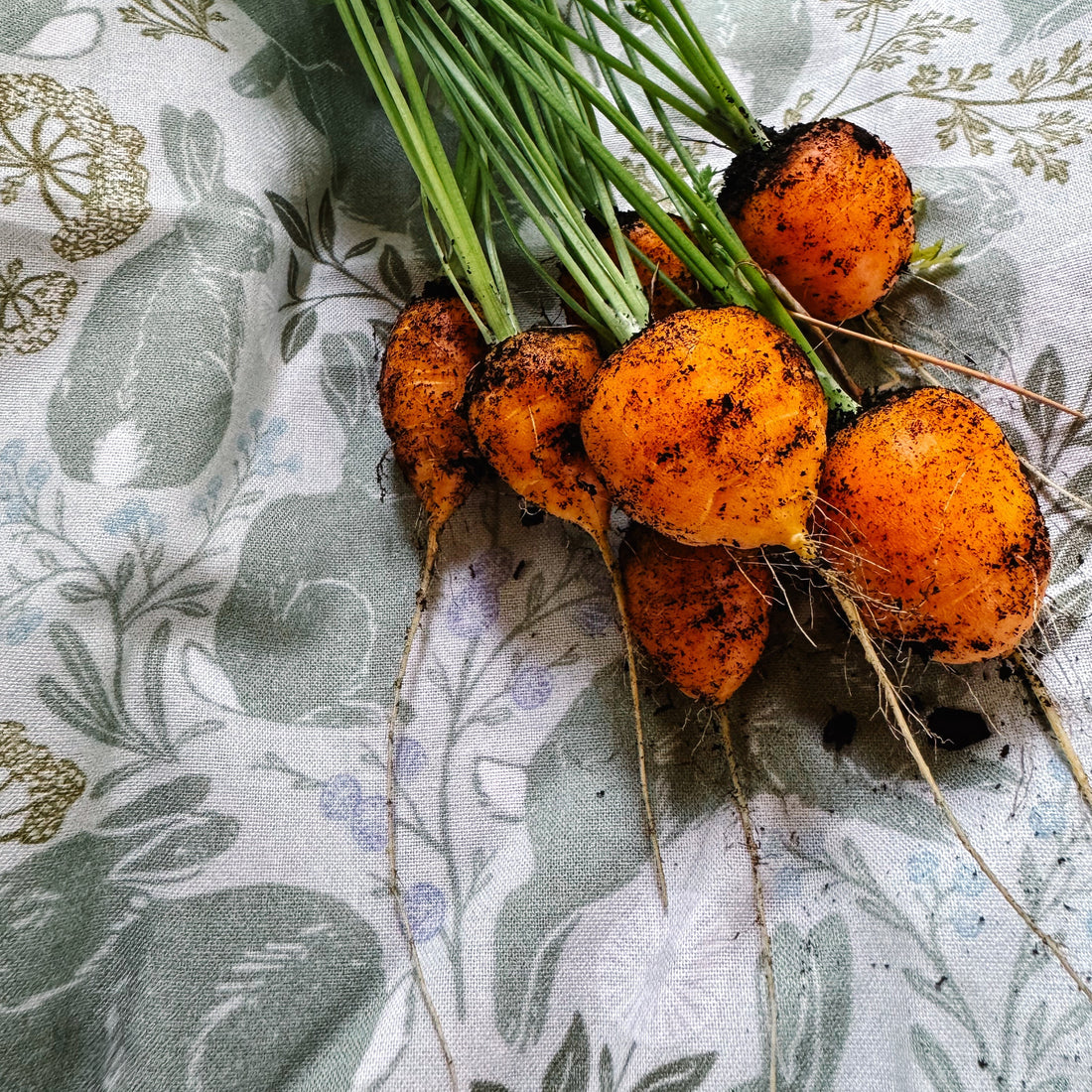 artist Beivn Marie's rabbit garden fabric with fresh garden carrots