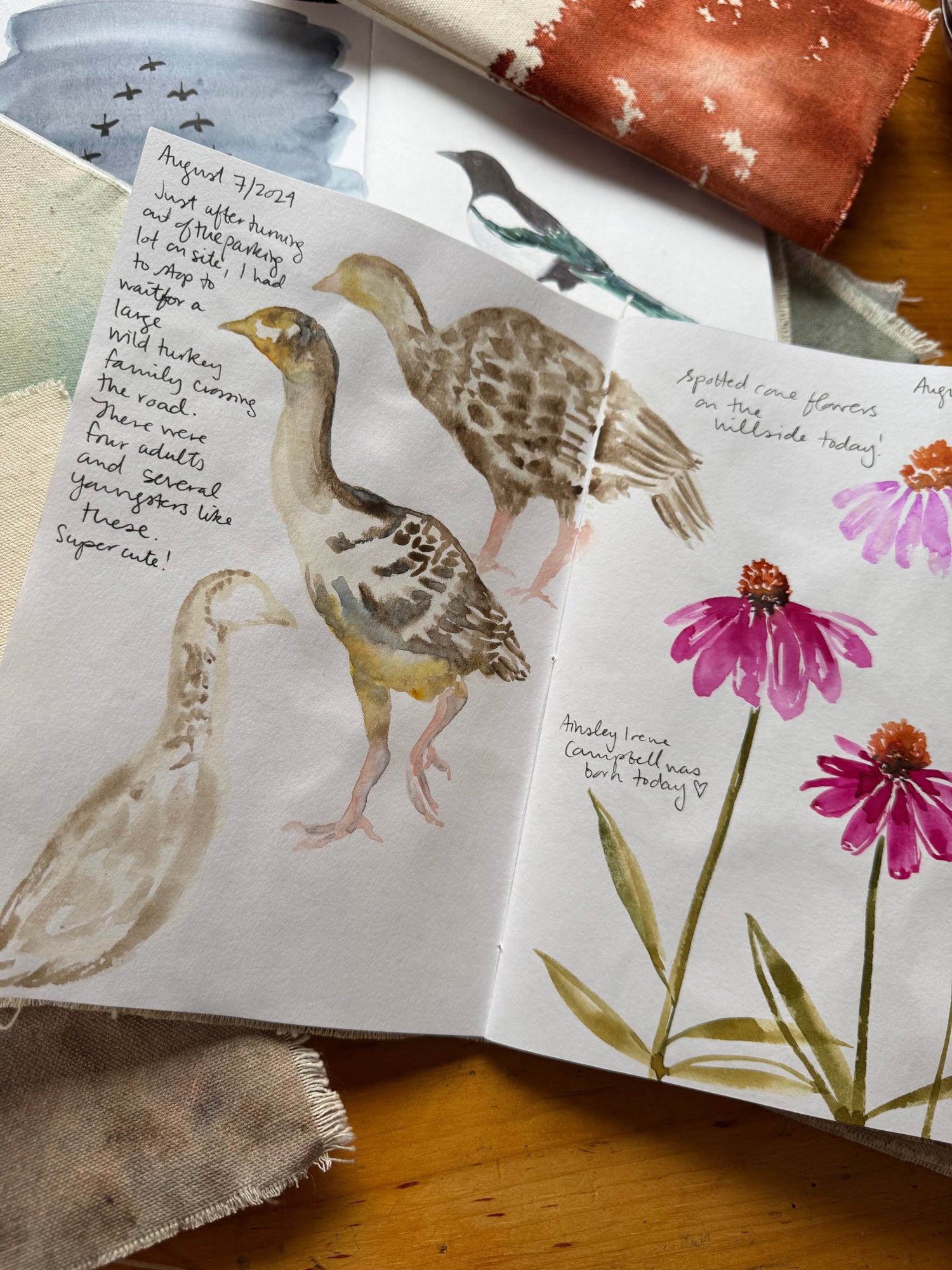 artist Bevin Marie's open sketchbooks showing painted birds and wildflowers