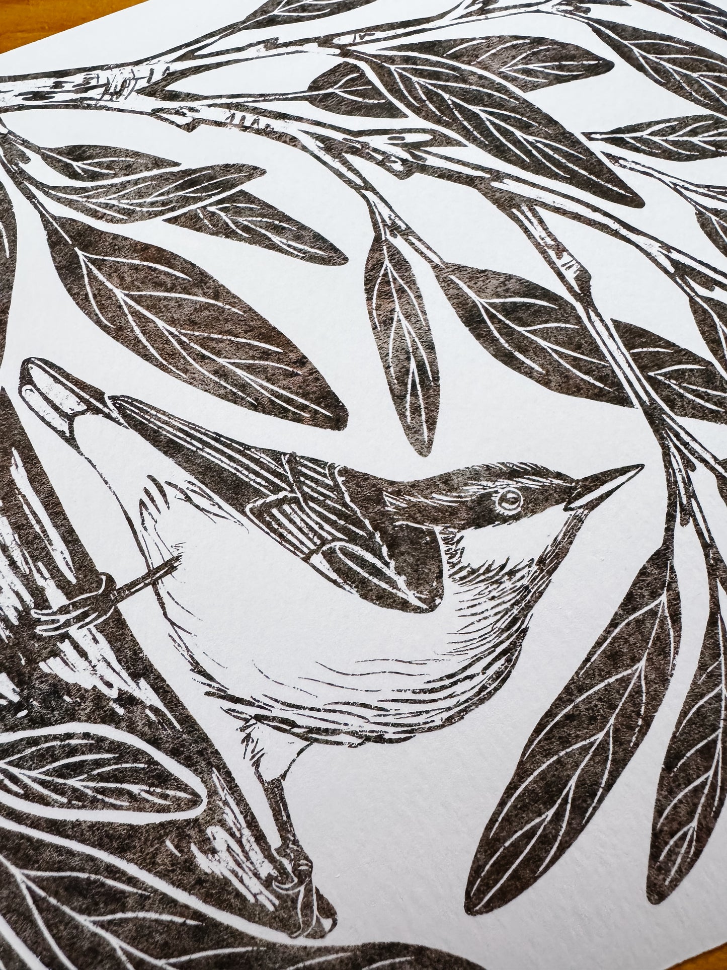Nuthatch + Willow