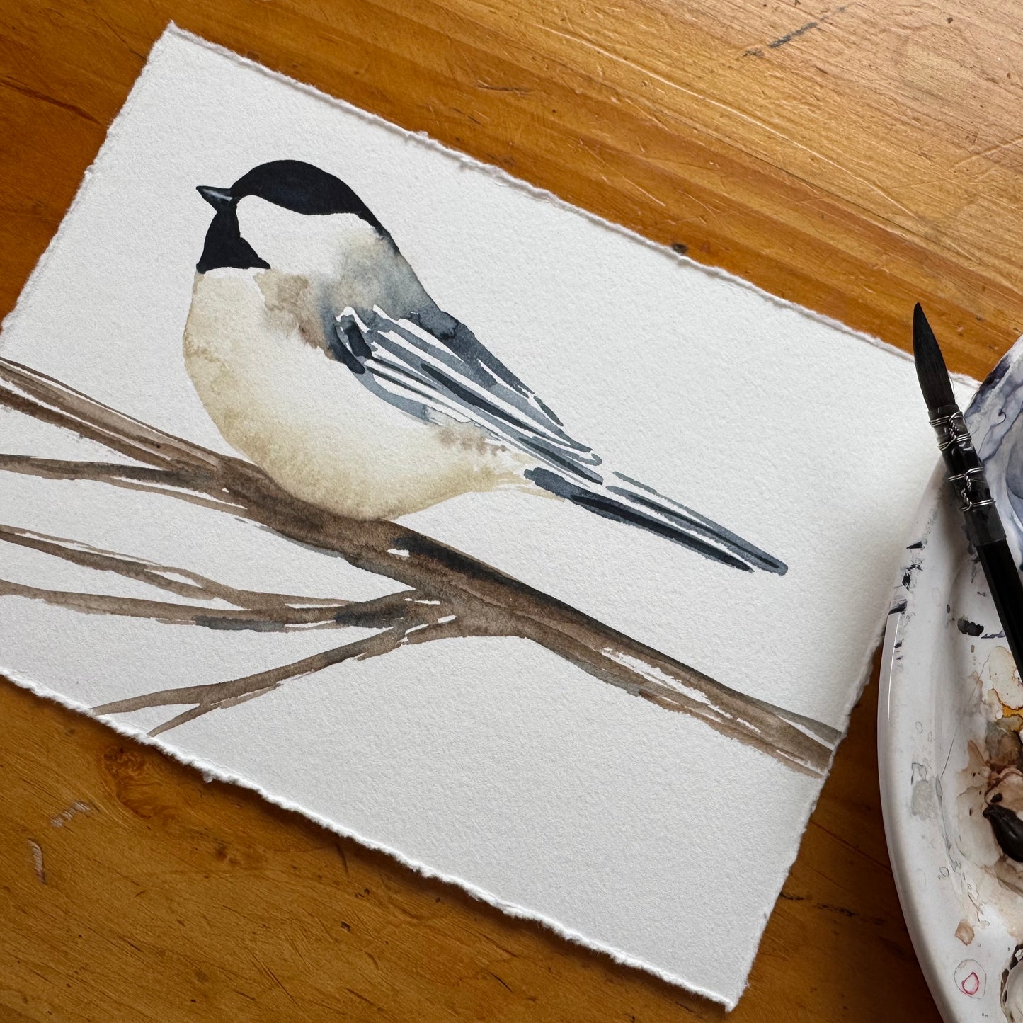 Chickadee no. 03
