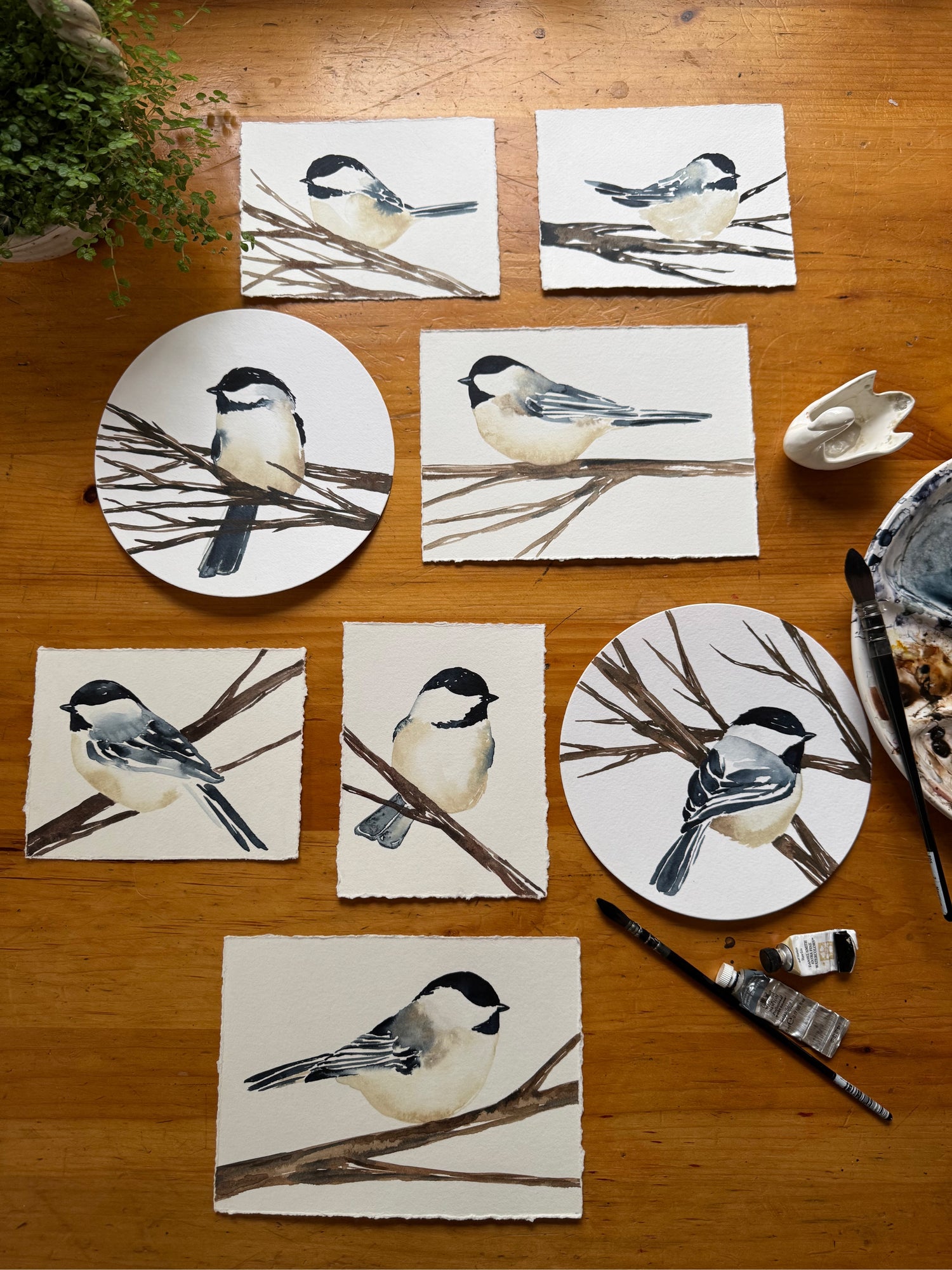 artist, Bevin Marie's collection of original hand painted watercolour chickadees on her wooden art desk with paints and paintbrushes on the table.
